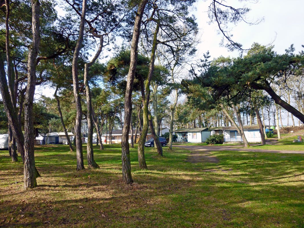 A campground with multiple RVs and a single house.