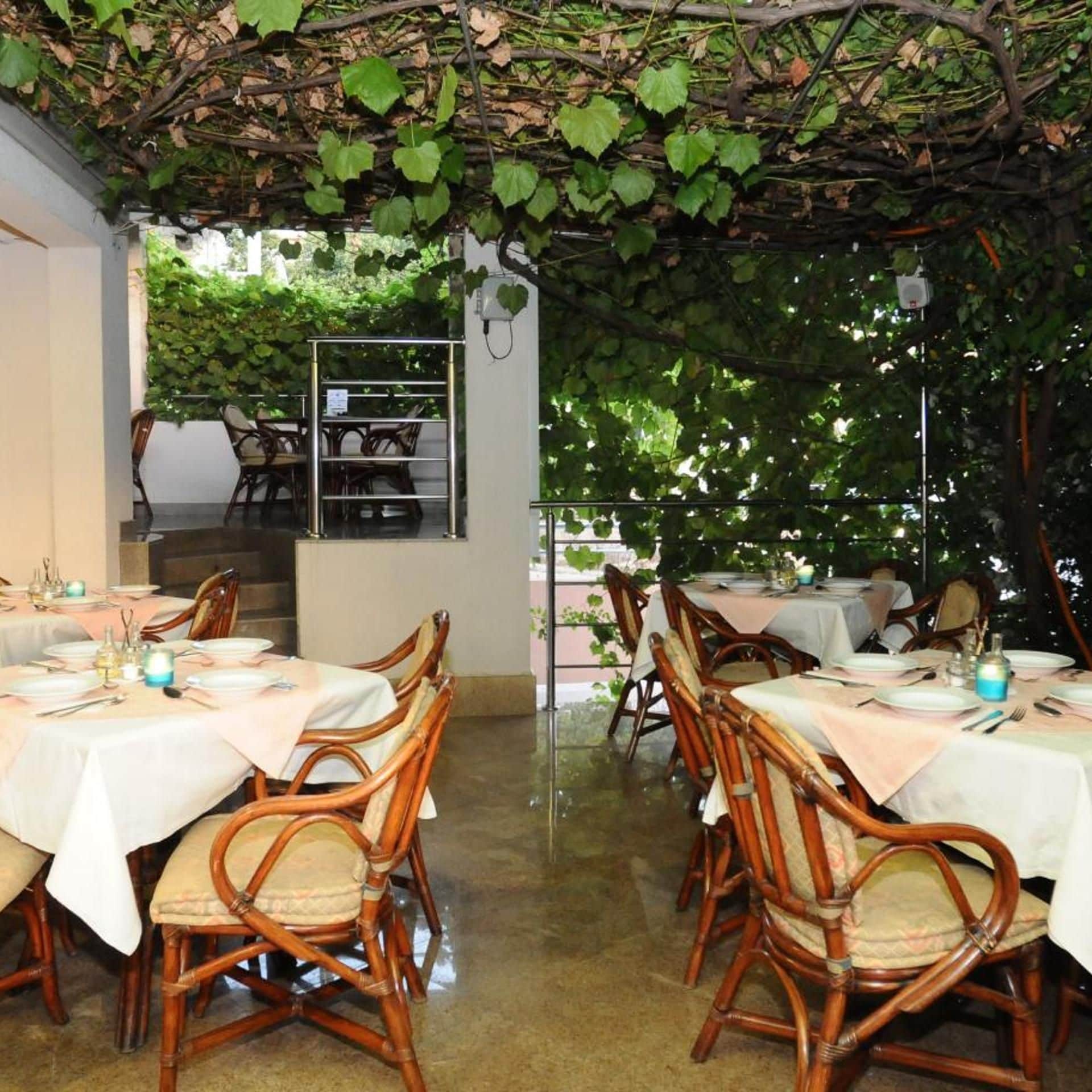 Ein Essbereich im Freien mit Tischen und Stühlen, der von einer mit Weinreben bewachsenen Pergola überdacht wird.