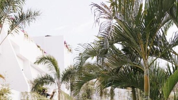 A pool area with lounge chairs and palm trees. - Mantra Wellness Bali (Pecatu)