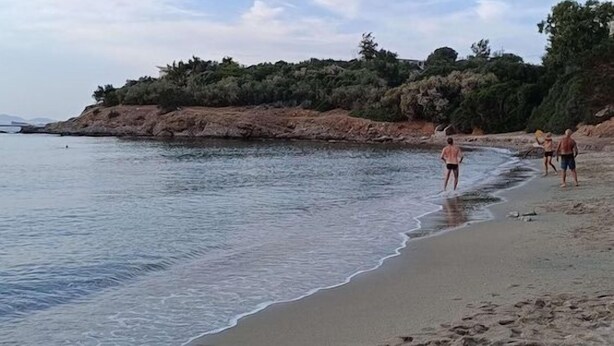 Beach - Three Olive Trees (Saronikos)
