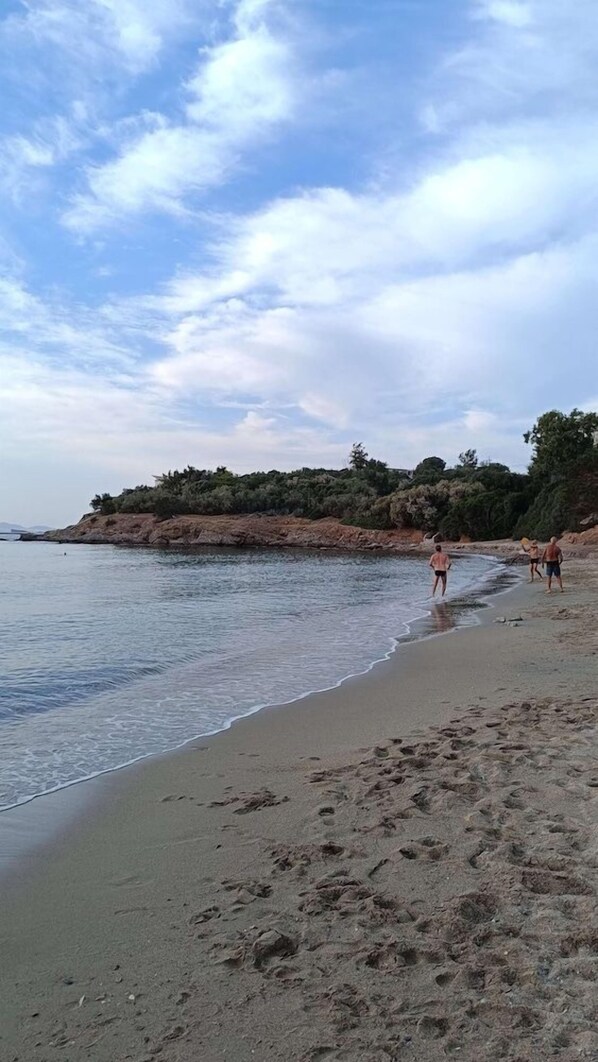 Beach - Three Olive Trees (Saronikos)
