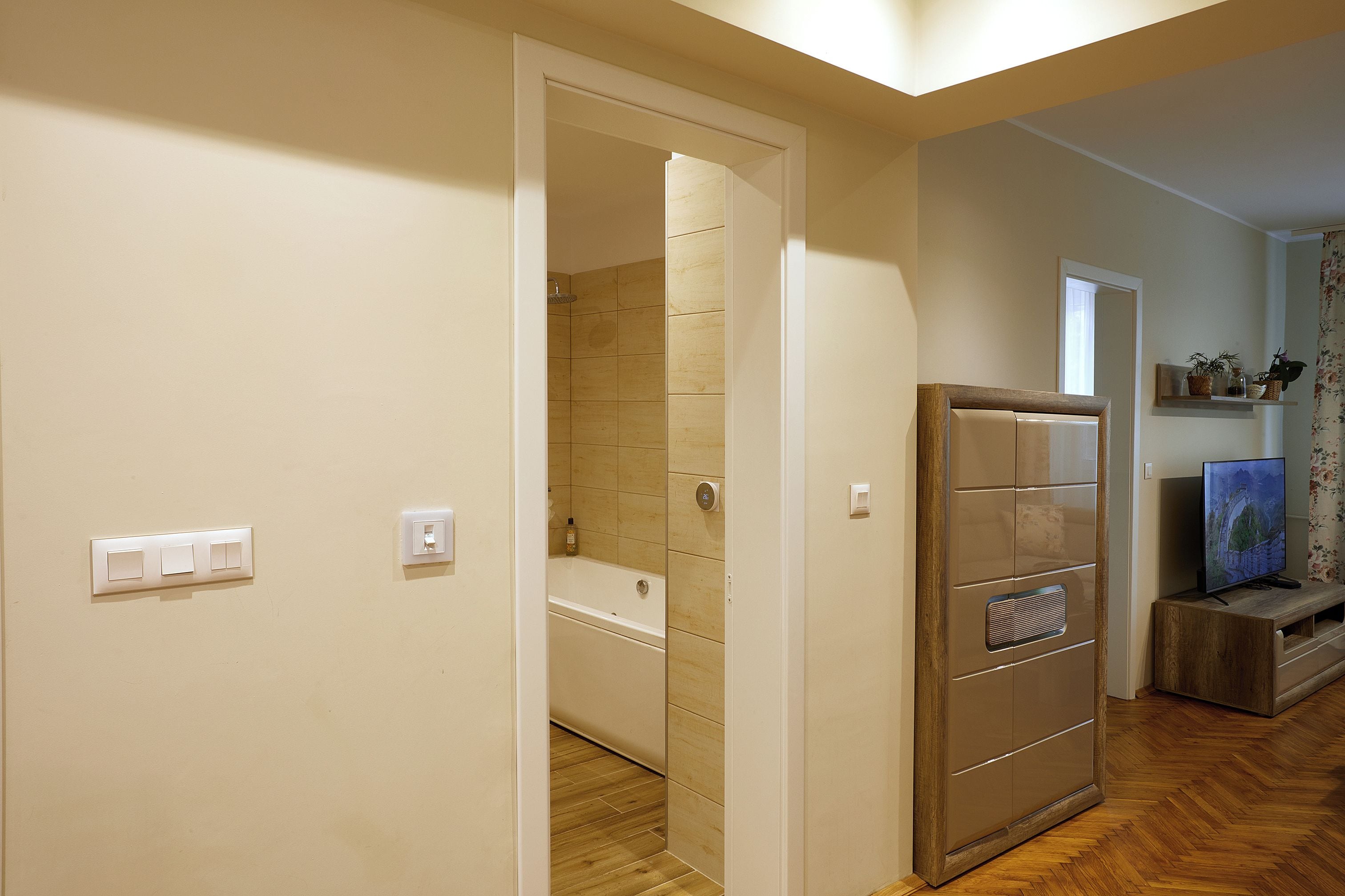 Un couloir mène à une salle de bain équipée d’une douche, dotée d’un plancher en bois et comprenant un téléviseur posé sur un meuble en bois.