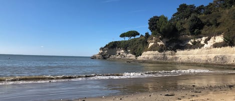 Une plage avec un ciel dégagé, une eau calme et une falaise rocheuse couverte de végétation.