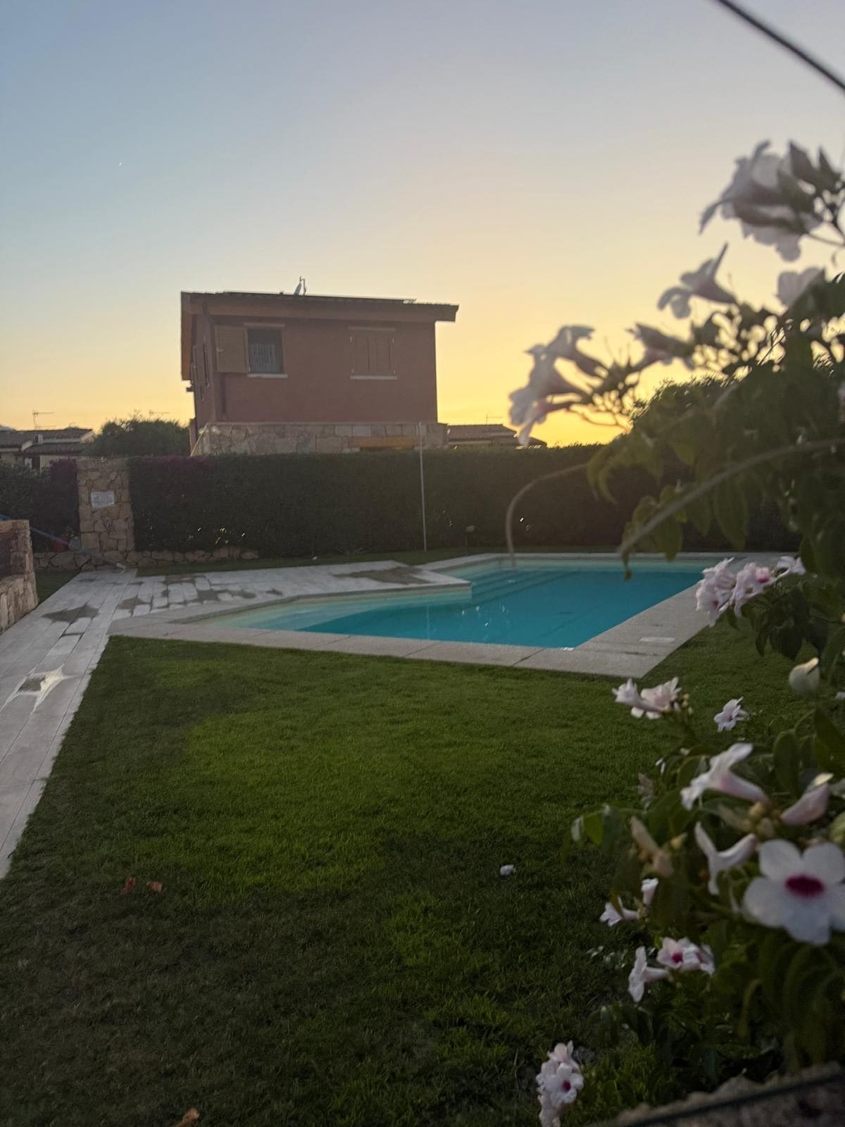 A swimming pool with a grassy area and a building in the background.