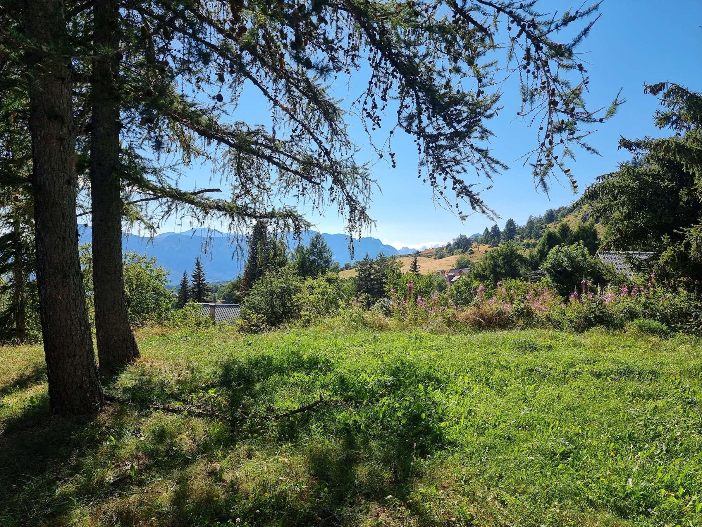 Un paysage naturel avec des arbres, de l’herbe et des montagnes à l’horizon.