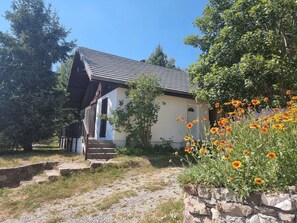 A small building with a sloped roof, a stone staircase leading to a door, and a garden with various flowers.