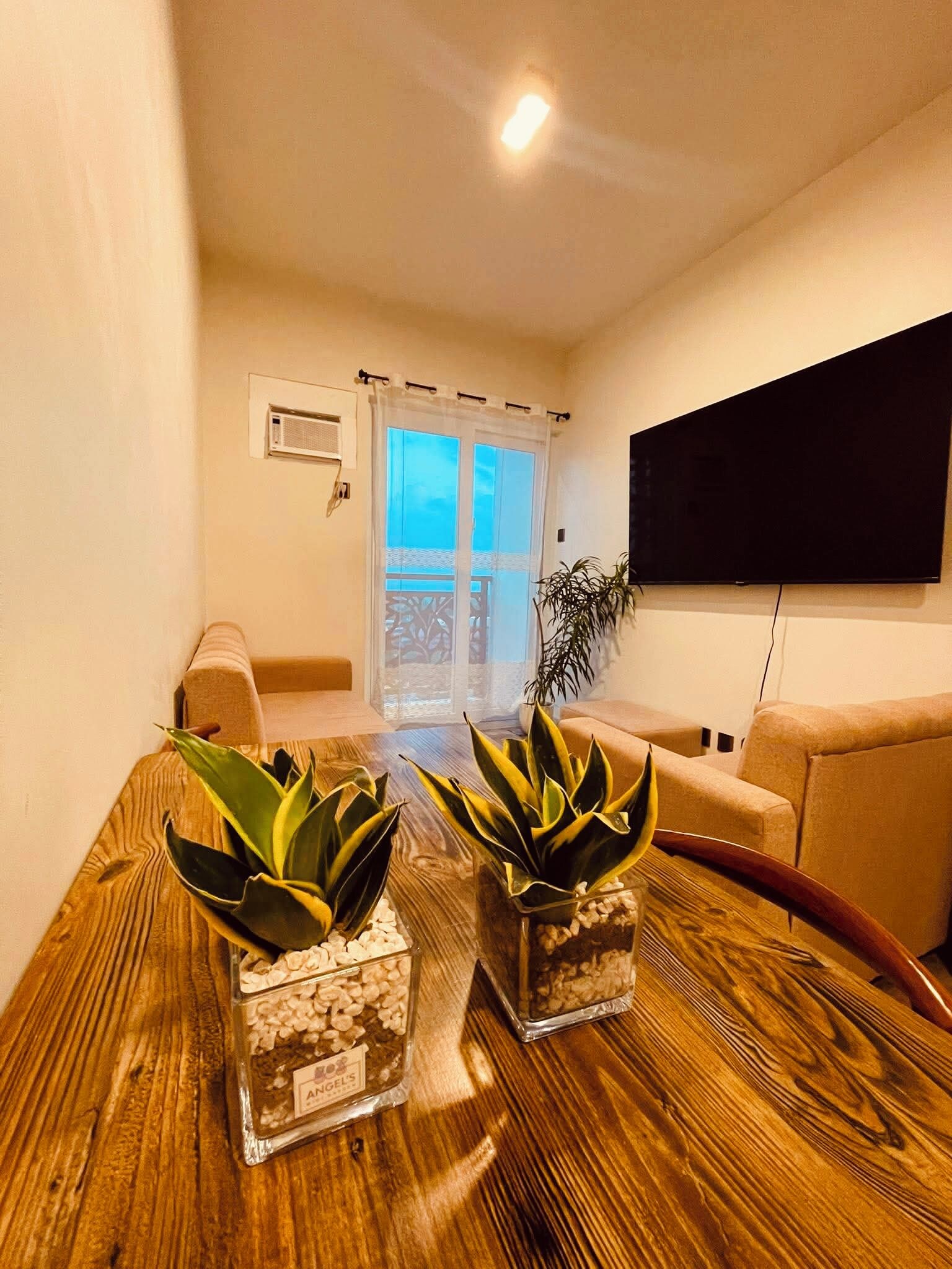 Un salon comprenant une table à manger en bois, deux plantes en pot, un canapé, un téléviseur et une porte-fenêtre coulissante donnant sur un balcon.