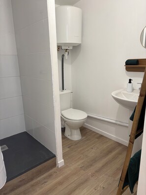 Dusche, Handtücher, Toilettenpapier