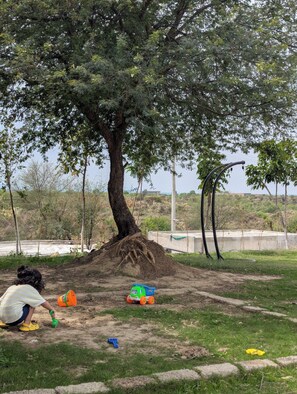 Un árbol con un sistema de raíces extenso en una zona cubierta de césped, junto a juguetes dispersos y una estructura de hormigón al fondo.