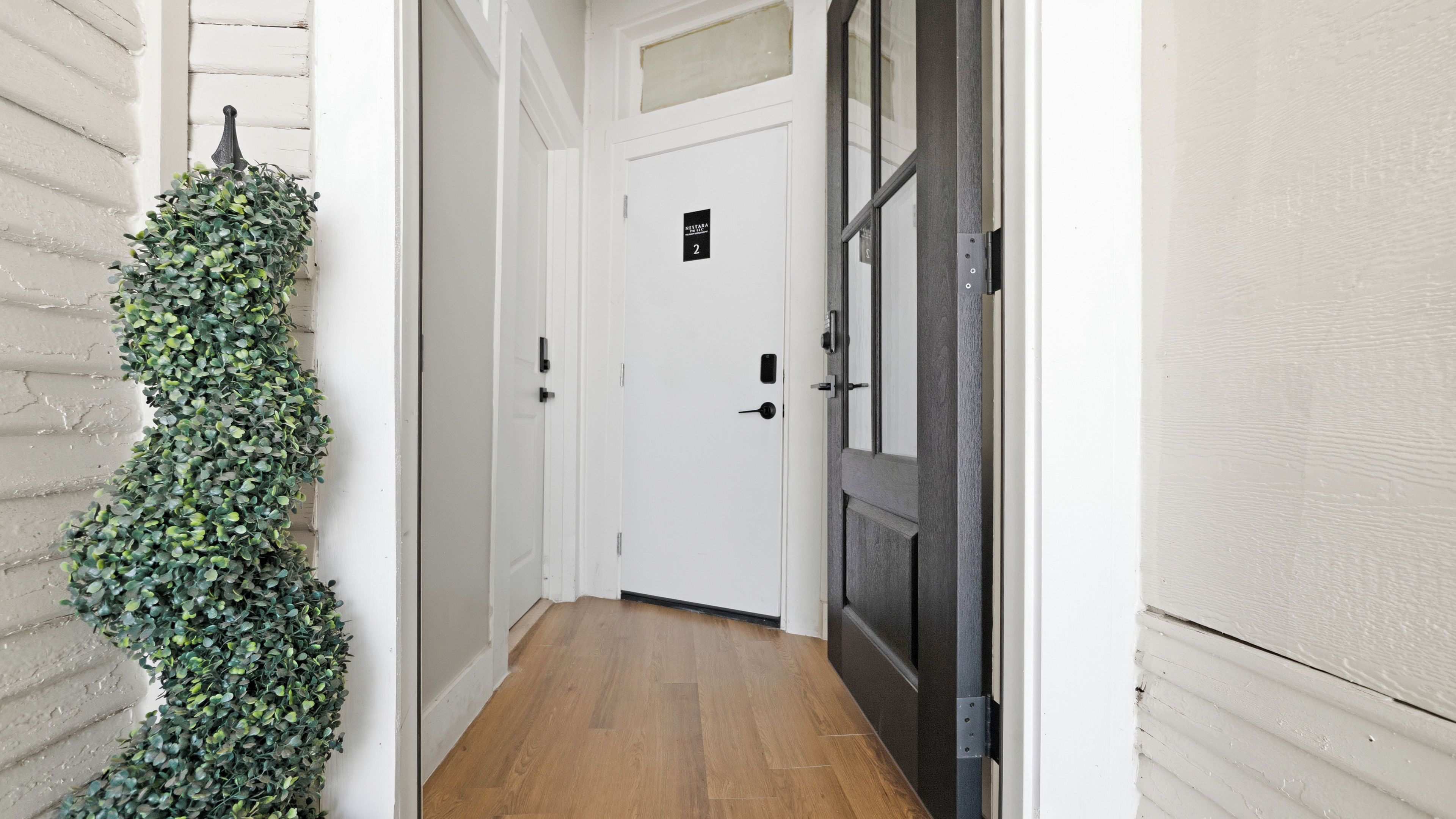A hallway with a white door, a dark-framed door, and a green plant.