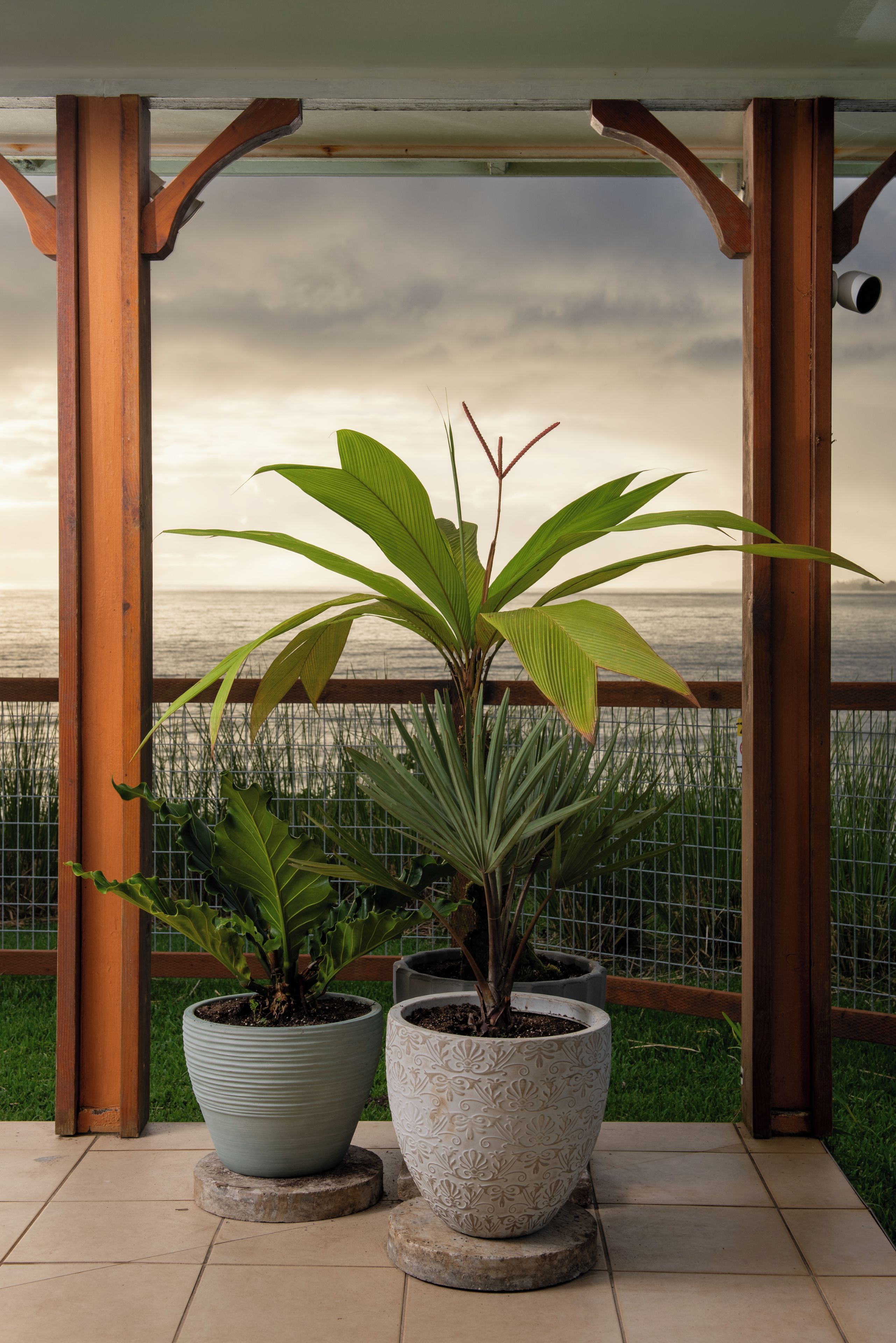Een overdekt buitengebied met twee potplanten, een metalen hek en uitzicht op zee.