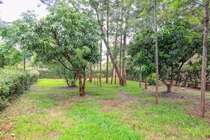 A garden with a variety of trees and a grassy area.