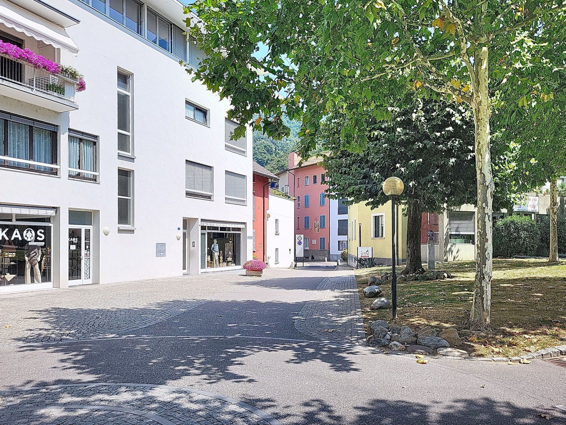 Une rue bordée d’immeubles, un chemin pavé et un arbre en fleurs.