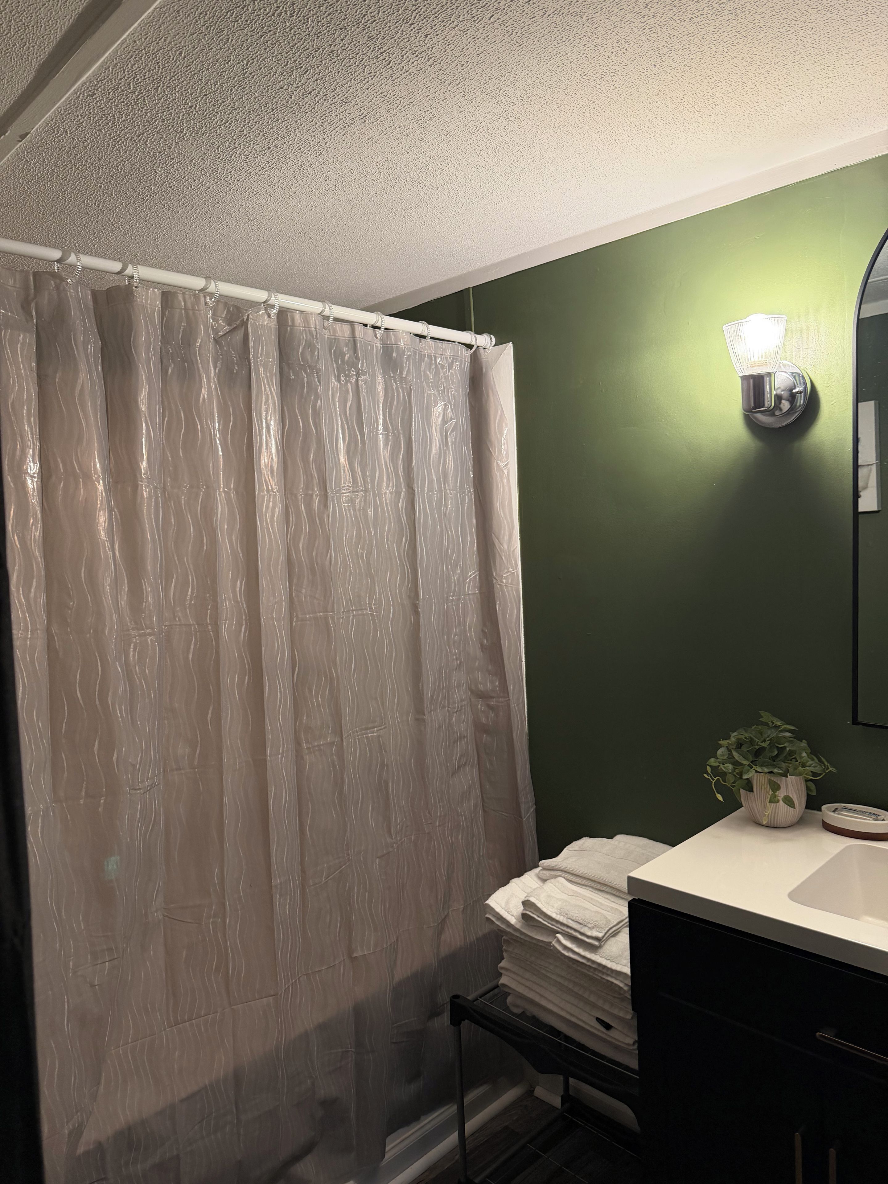 A bathroom with a shower curtain, a wall-mounted light fixture, a sink with a mirror, and a small potted plant.