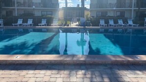 Ein Swimmingpool mit Liegestühlen und Palmen im Hintergrund.