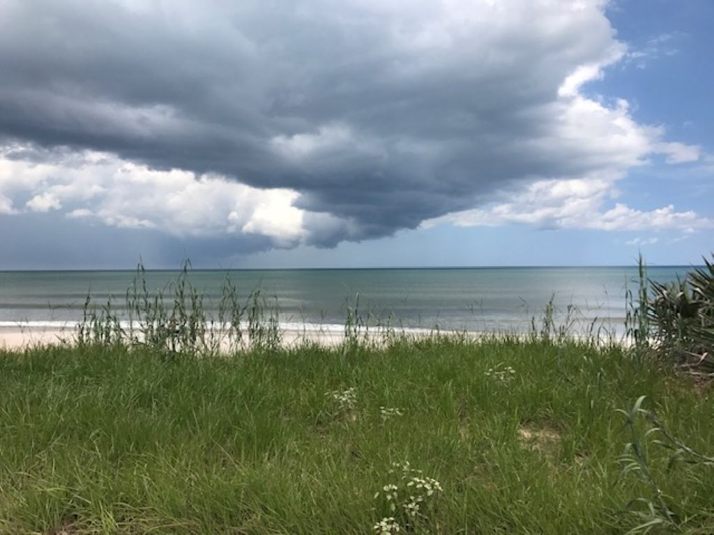 A beach with grassy foreground and a view of the ocean under a cloudy sky.