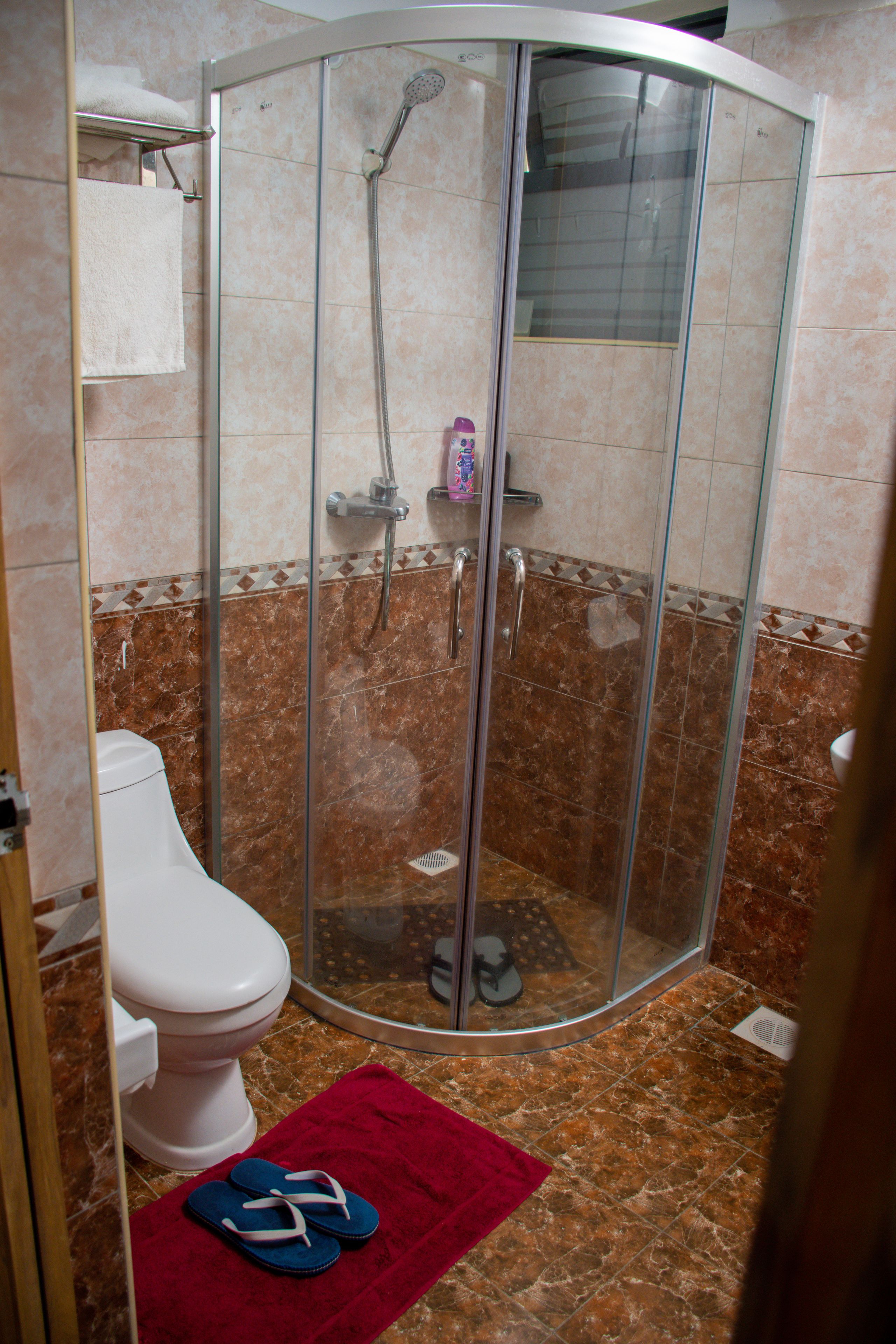 Une salle de bain avec une douche à parois de verre, des toilettes et un tapis de bain rouge.