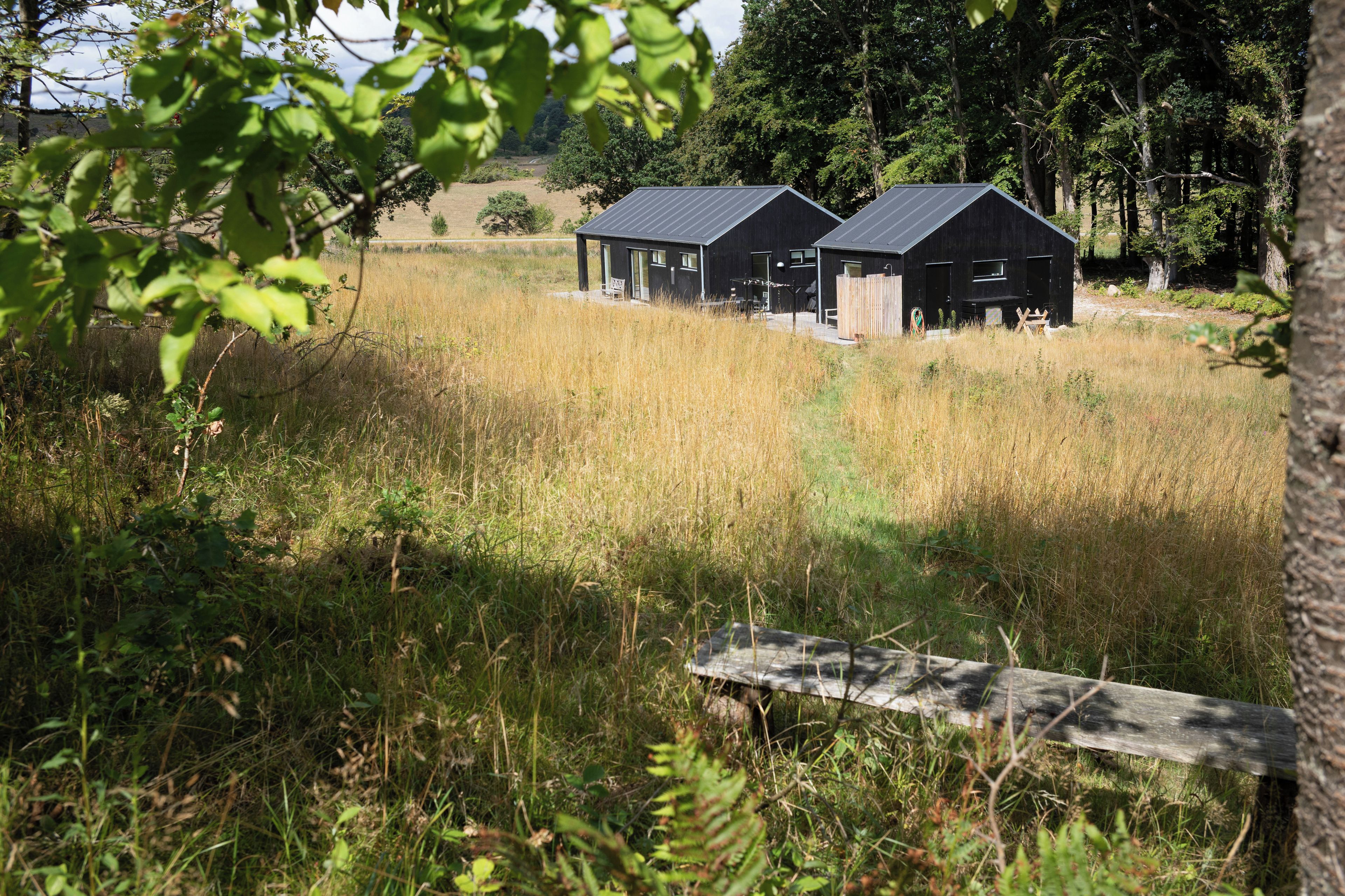 A rural setting with two black buildings, surrounded by tall grass and trees.
