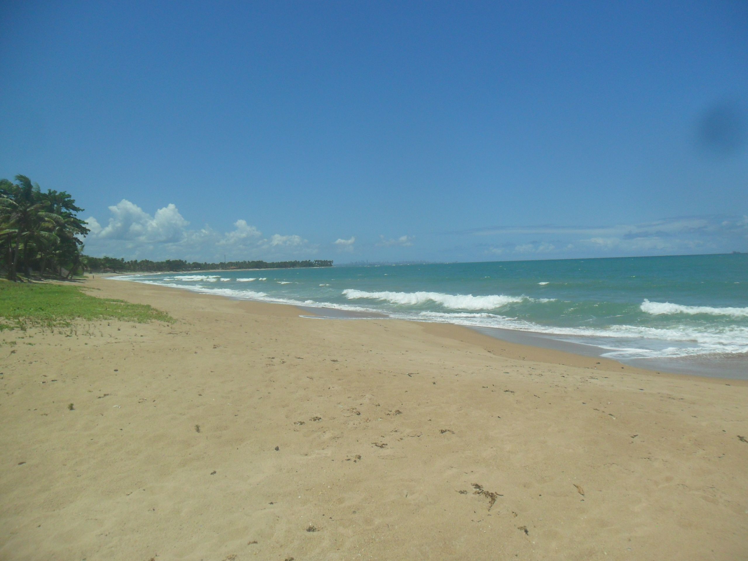 Uma praia com céu limpo, ondas suaves e uma linha de costa distante com vegetação.