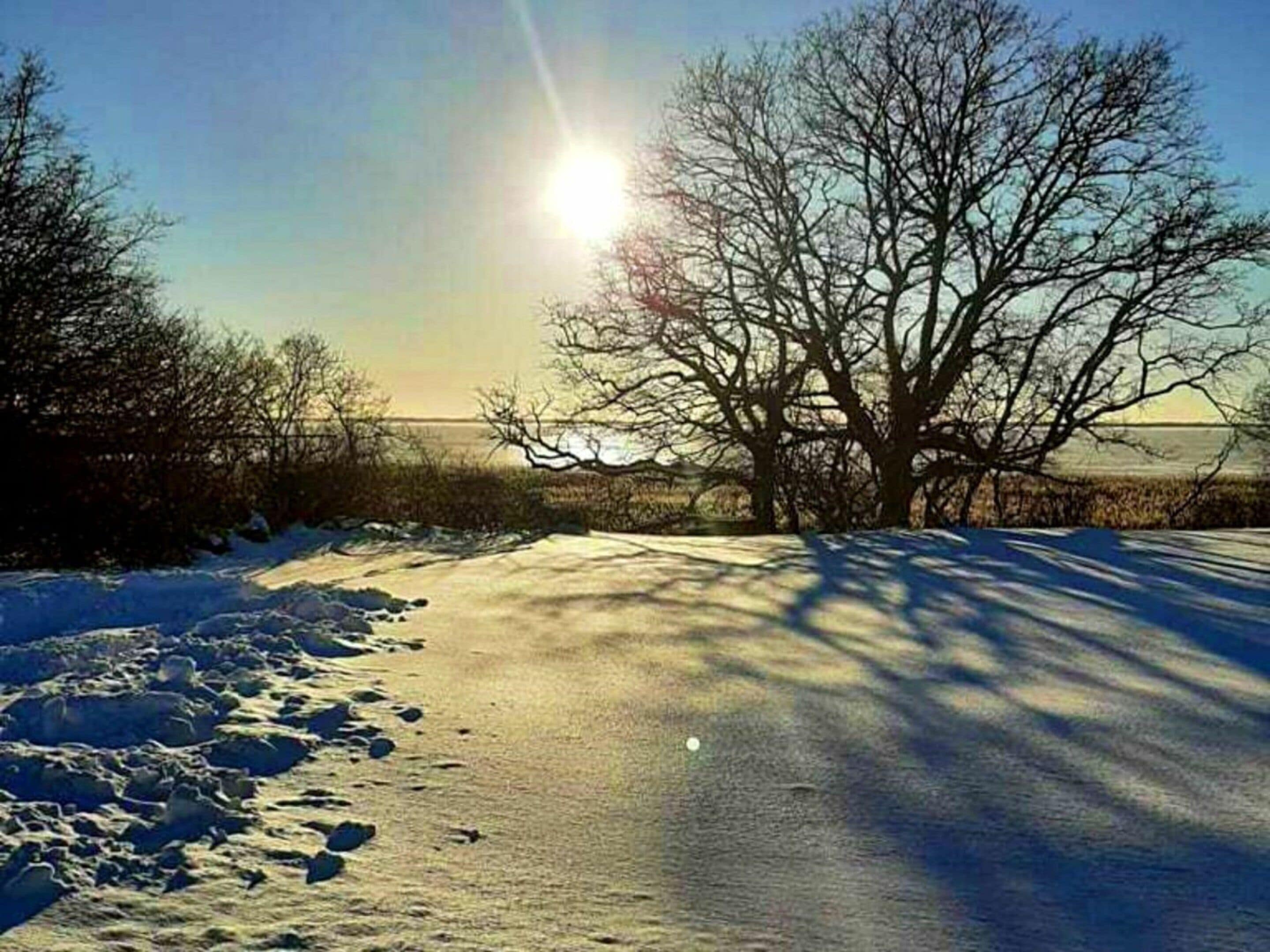 Un paysage enneigé, avec un ciel dégagé et un soleil brillant.