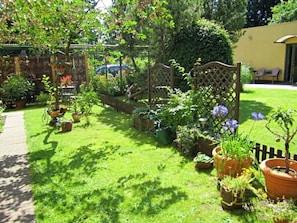 A well-maintained garden with various potted plants, a wooden fence, and a pathway. - Vacation at Umlauf (Heringsdorf)