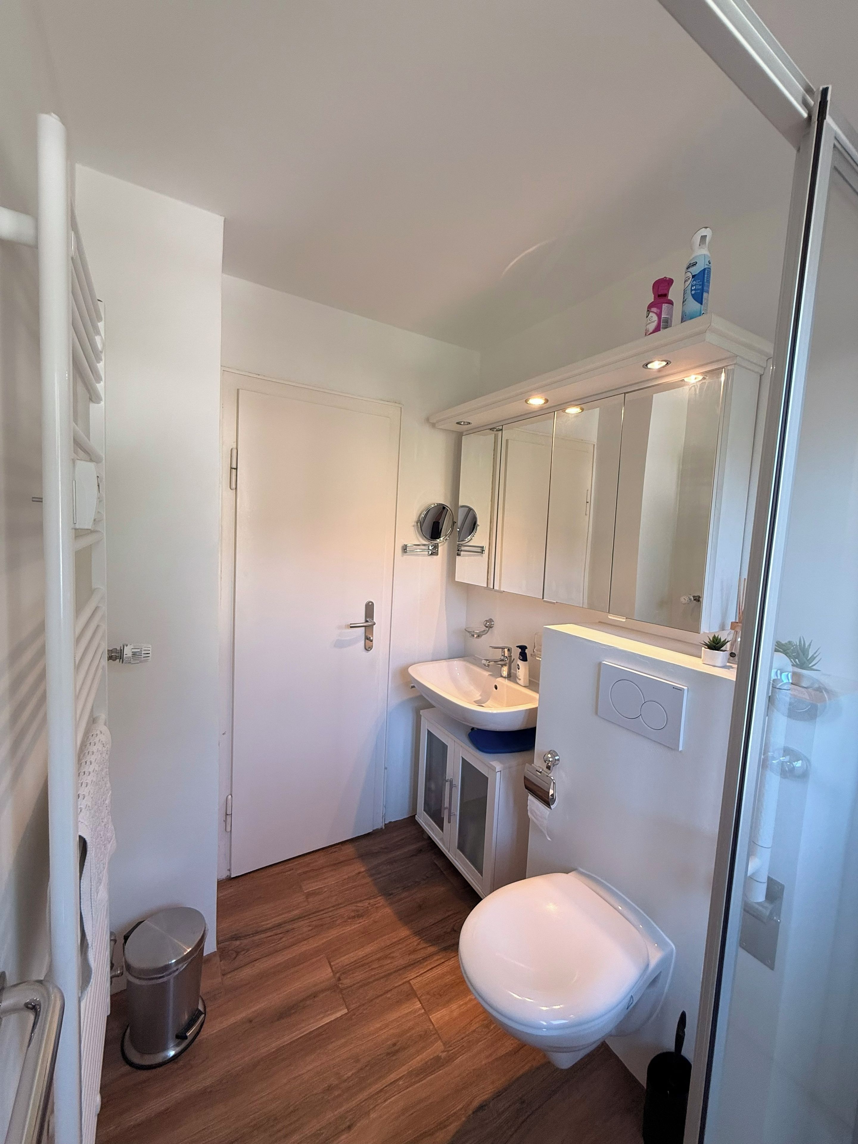 Ein Badezimmer mit einem weißen Waschbecken, einem Spiegel und einer Toilette. Ein kleiner Mülleimer und ein Handtuchhalter sind ebenfalls vorhanden.