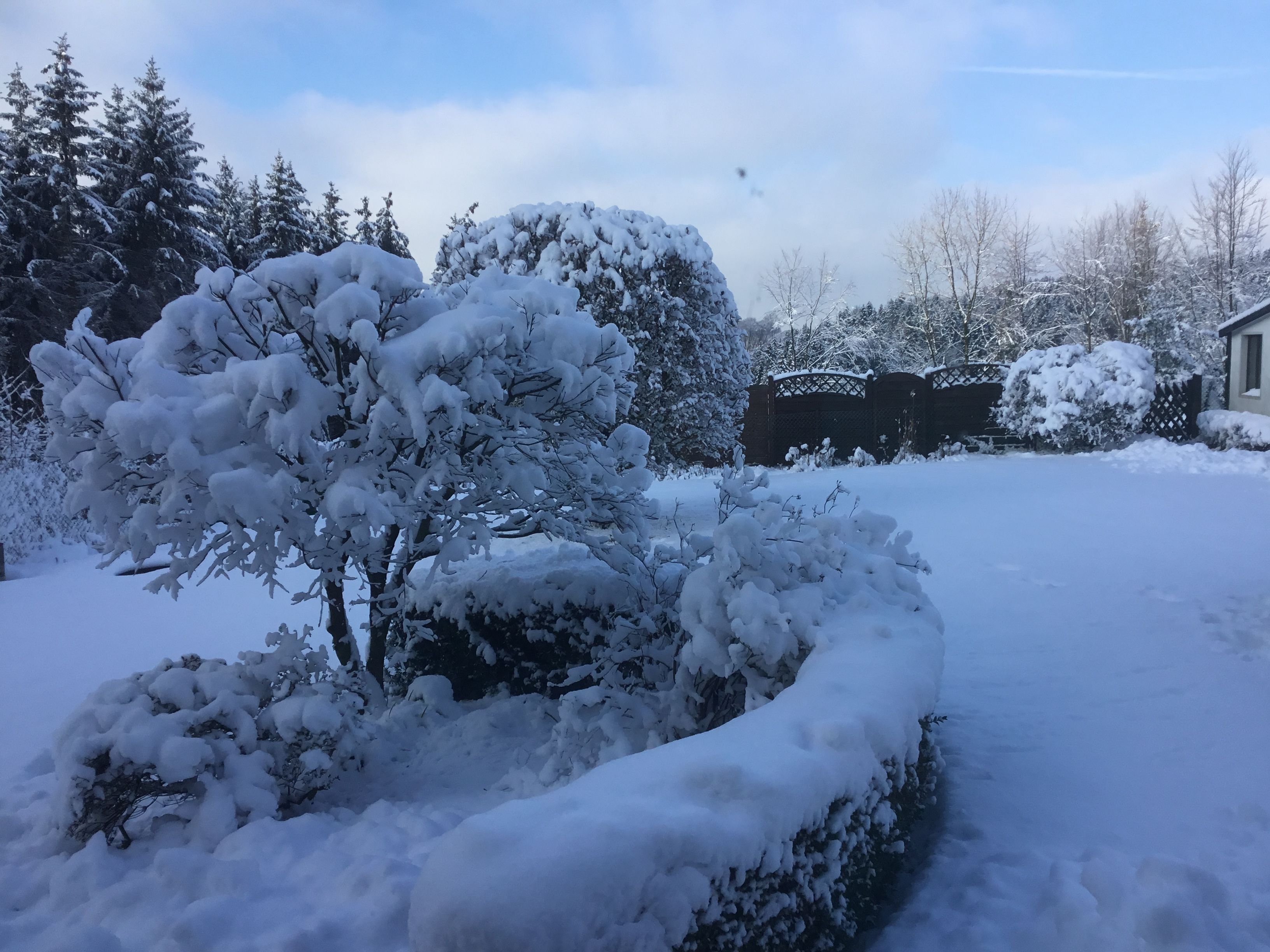 Un paysage enneigé avec des arbres et une clôture.