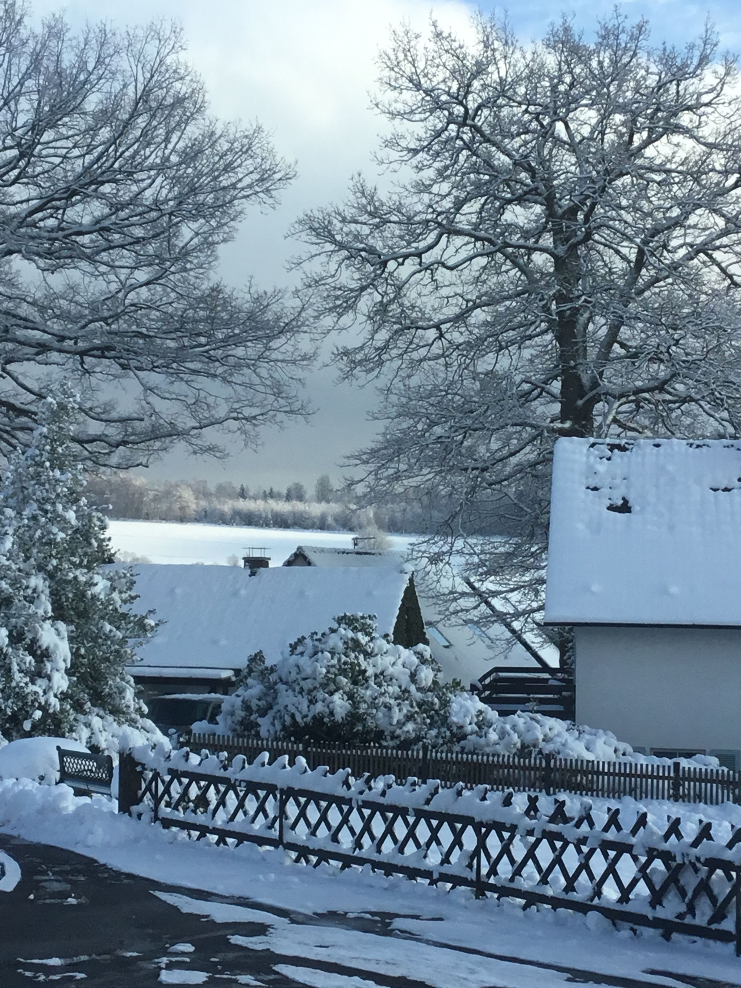 Schneebedeckte Landschaft mit kahl stehenden Bäumen, einem Zaun und einem Gebäude mit verschneitem Dach.