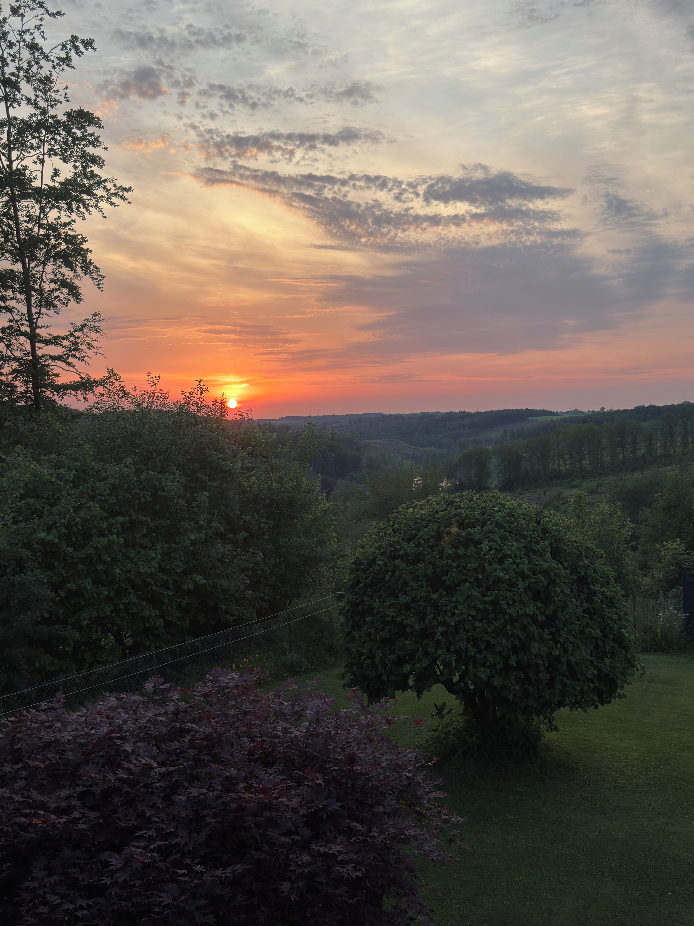 A sunset over a hilly landscape with trees and a fence.