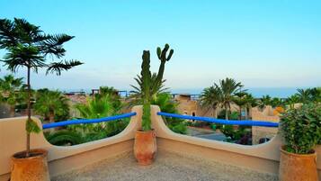 Une terrasse sur le toit, agrémentée de plantes en pot, dotée d’une rambarde et offrant une vue sur la côte.