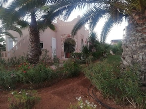 A building with a pink facade, surrounded by palm trees and flowering plants.