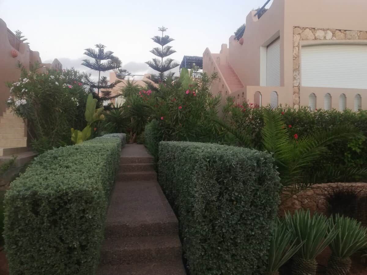 Un sendero bordeado por setos cuidados y plantas tropicales, que conduce a un edificio con fachada de piedra y una persiana cerrada.