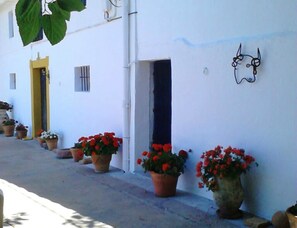 A narrow street with white buildings, potted plants, and a yellow door. - Farmhouse With Pool in Andalusia (Antequera)