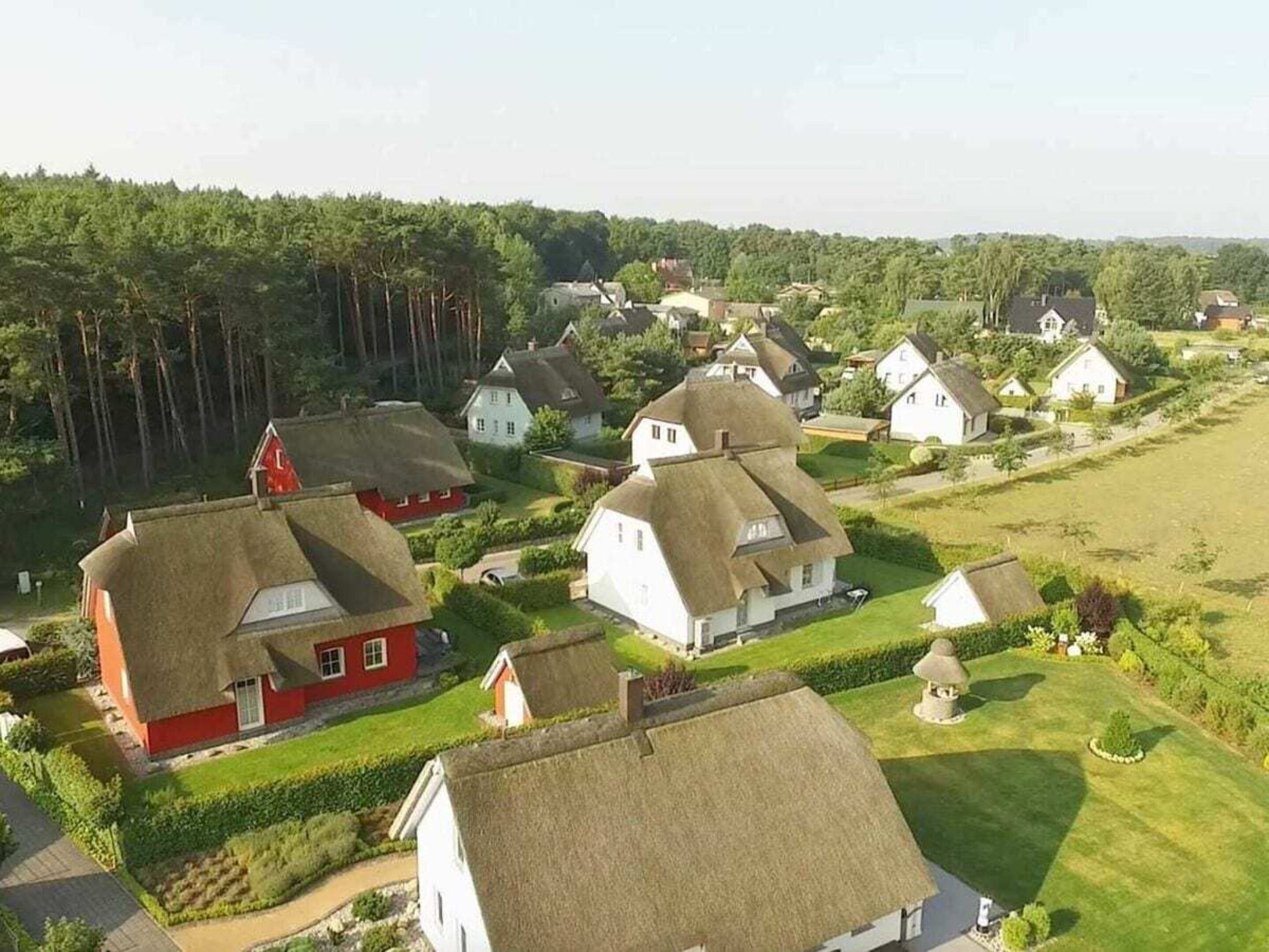 Un village rural aux maisons traditionnelles à toits de chaume, entouré de verdure et d’arbres.