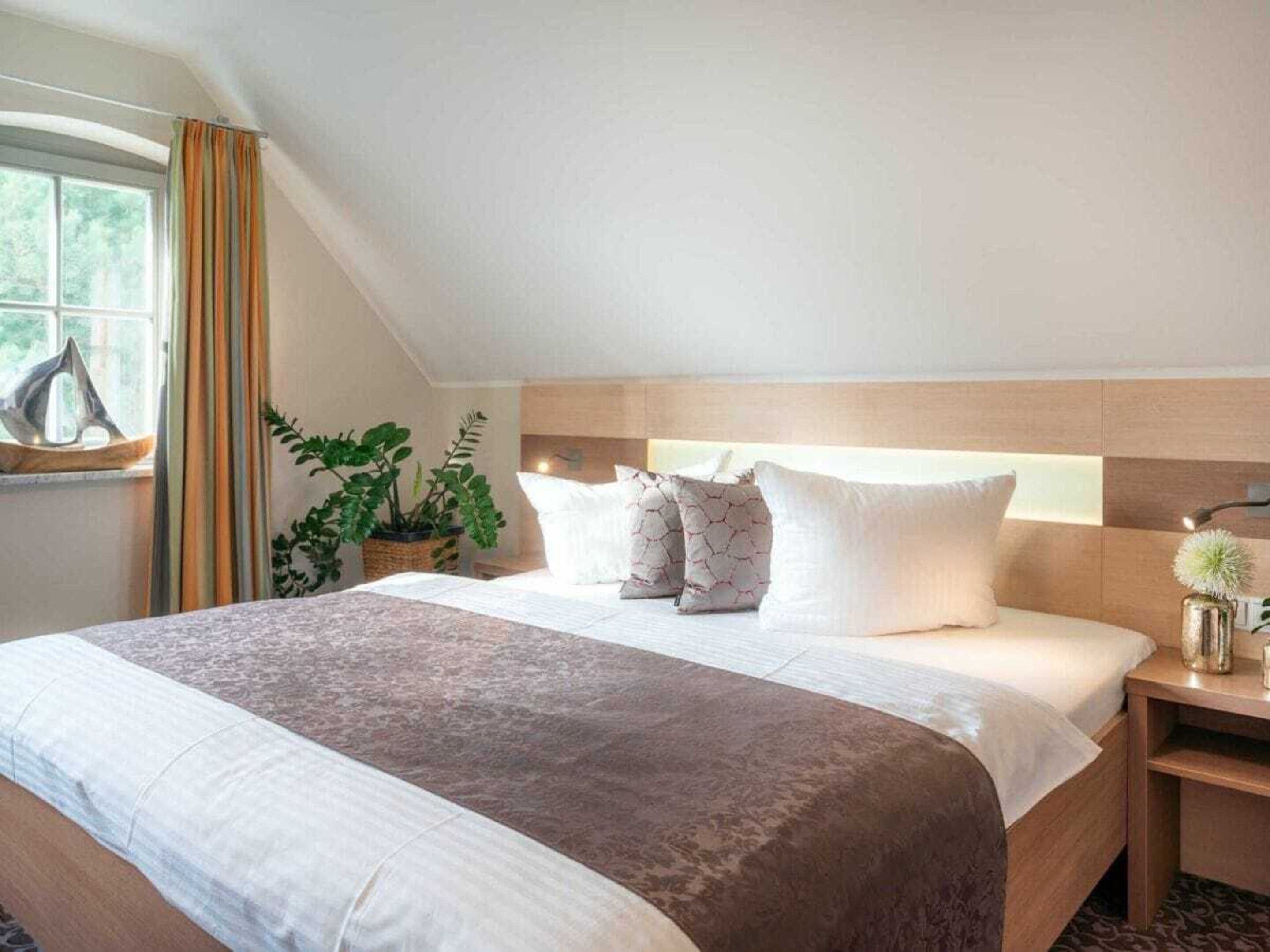 A hotel room with a large bed, a bedside table with a lamp, a window with curtains, and a plant.
