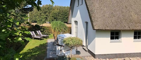 A house with a thatched roof, a paved patio, and a small garden with a tree and shrubs.