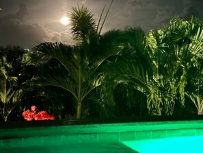 Ein Poolbereich mit einer grün beleuchteten Kante, umgeben von Palmen und einem Nachthimmel mit Mond.