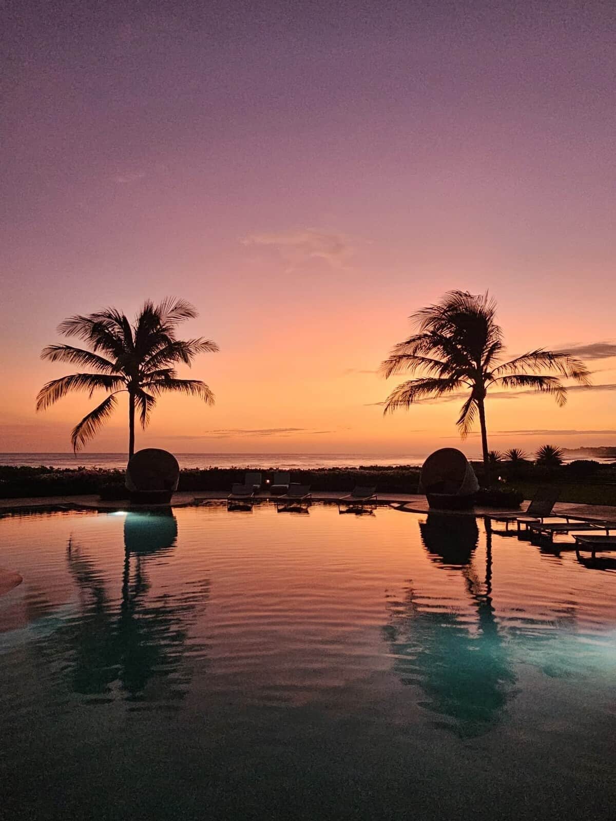 Une vue paisible sur la piscine, avec deux palmiers et des chaises longues, le tout baigné par les reflets du coucher de soleil.