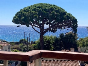 Ein Baum mit freiem Blick auf das Meer im Hintergrund.