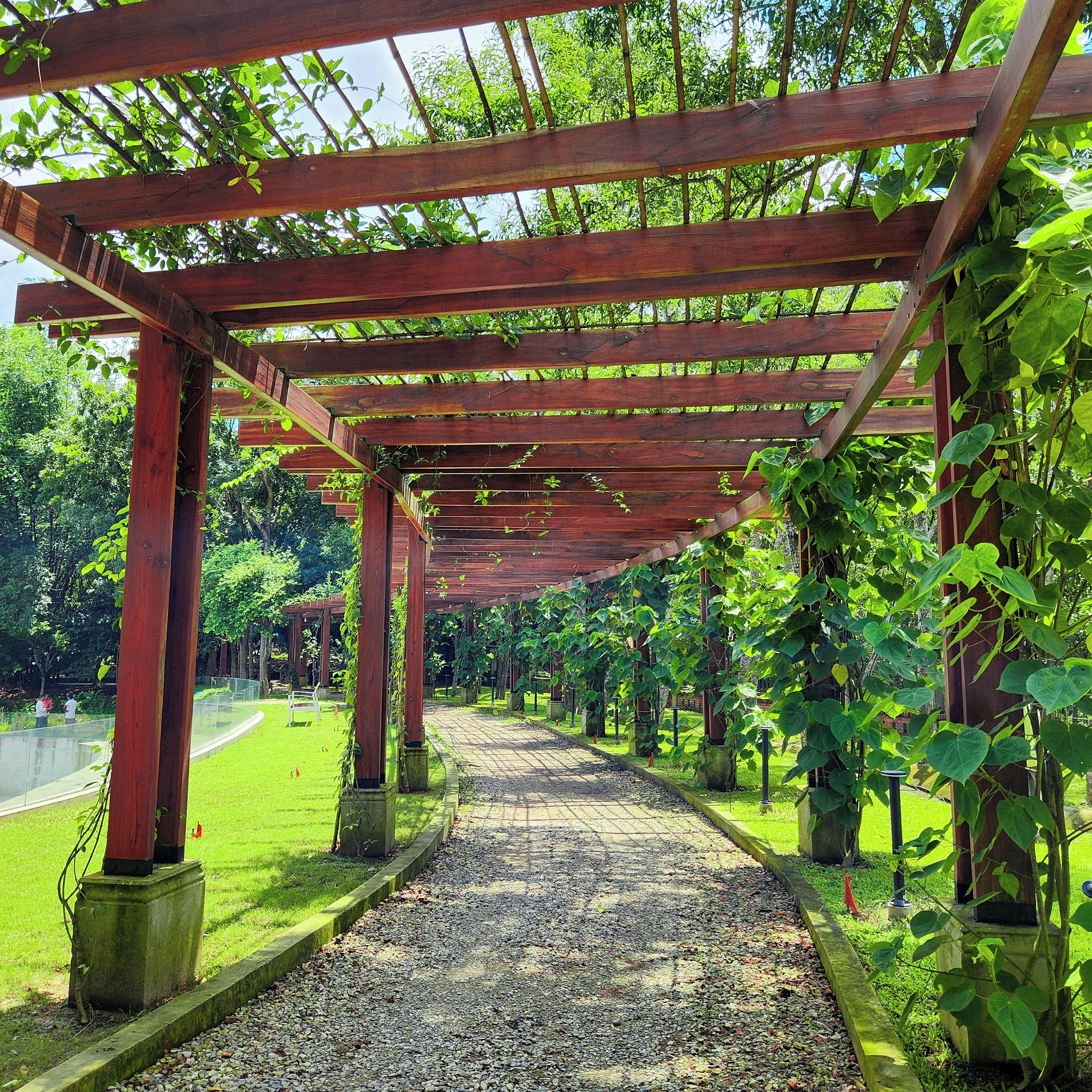 A wooden pergola structure with a gravel pathway leading through it, surrounded by greenery.