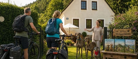 A house with a number 82 sign, a bicycle, and a dog.