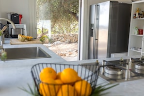 Een moderne keuken met een roestvrijstalen koelkast, een spoelbak en een aanrecht met een fruitschaal.