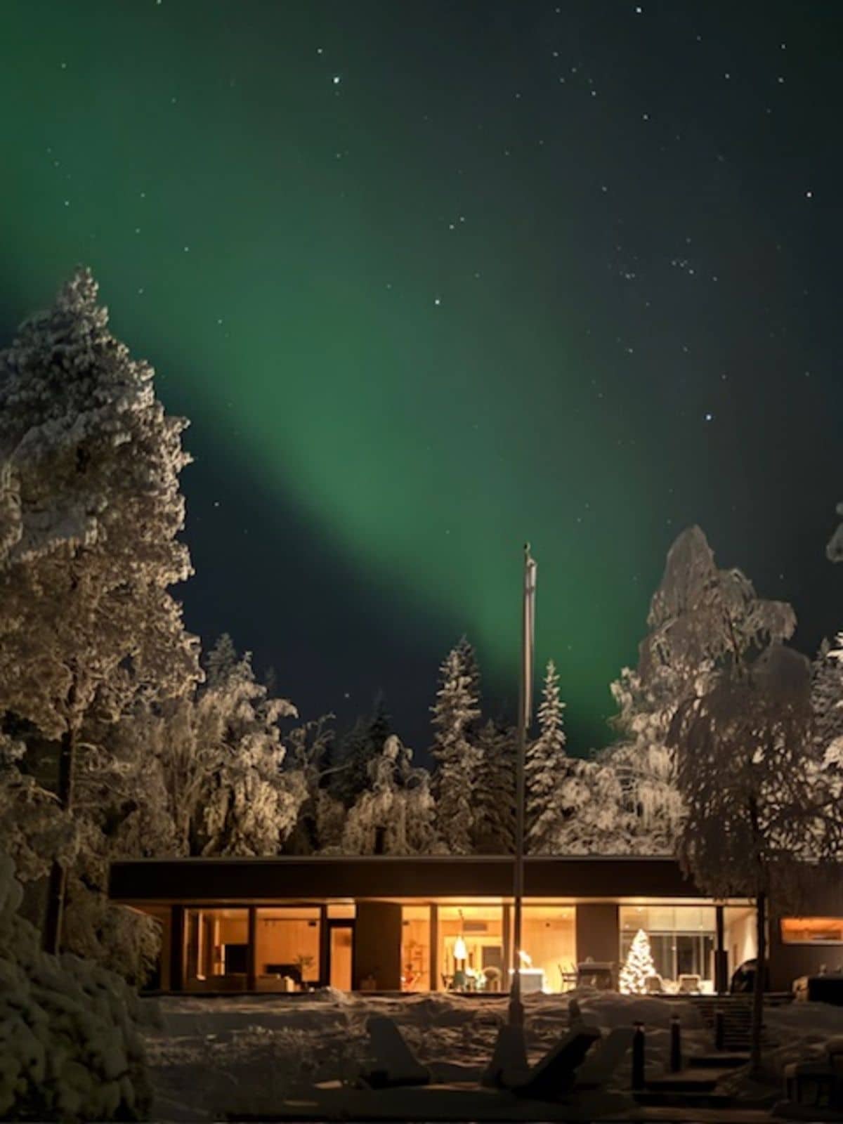 Uma casa moderna com fachada de vidro, rodeada por árvores cobertas de neve, sob um céu noturno estrelado.