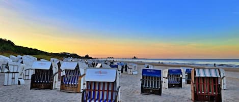 Beach chairs arranged in rows on a sandy beach with a clear sky.