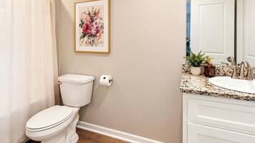 A bathroom with a toilet, a shower curtain, a framed floral artwork, a sink with a mirror, and a vanity cabinet.