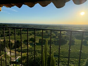 A balcony with a metal railing overlooking a vineyard. - Charming 3-bedroom house with panoramic views in peaceful Séguret (Séguret)