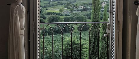 A balcony with a metal railing overlooking a landscape with trees and distant buildings.