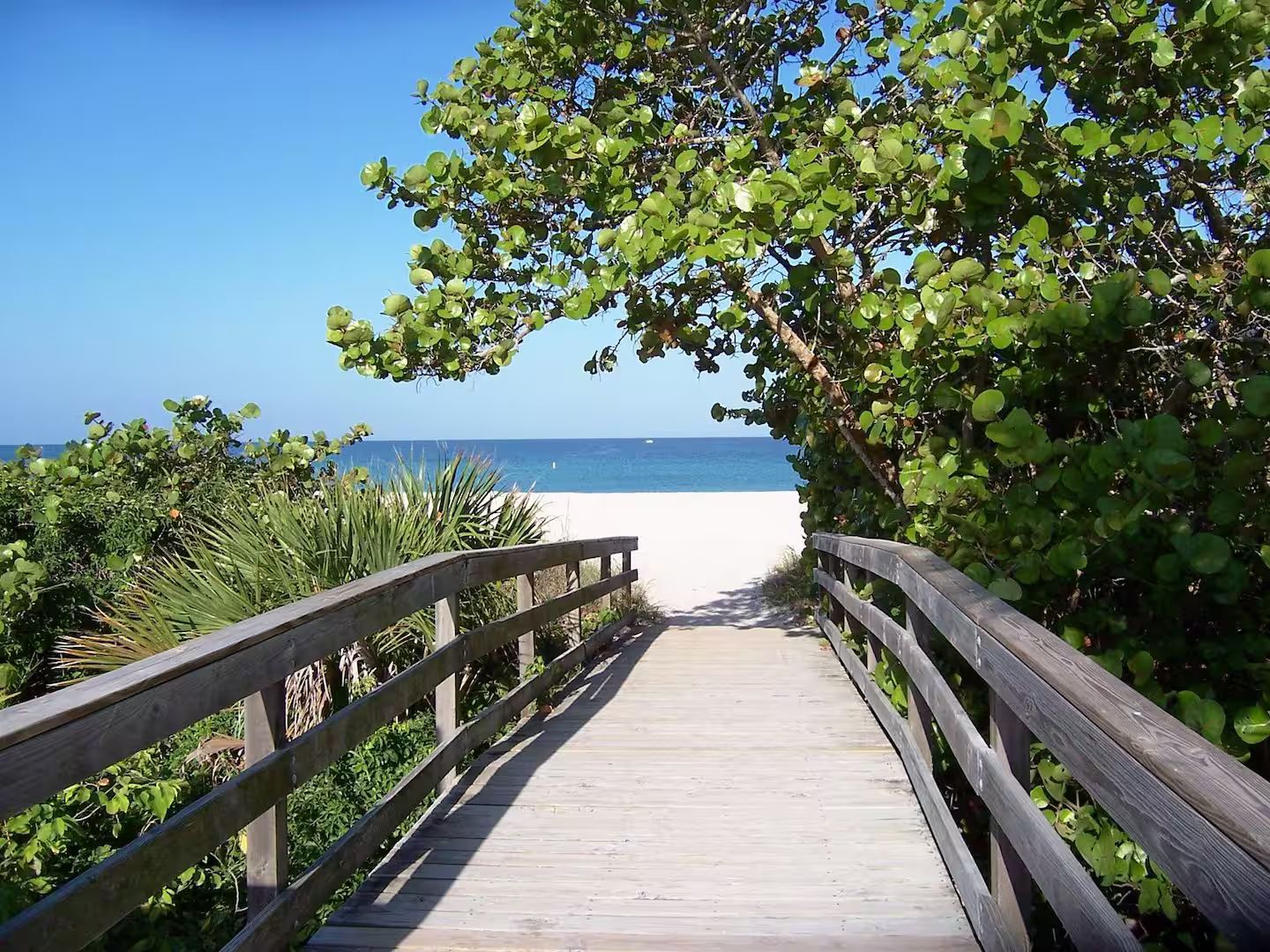 Une promenade en bois qui mène à une plage, avec un ciel bleu dégagé et l’océan en arrière-plan.