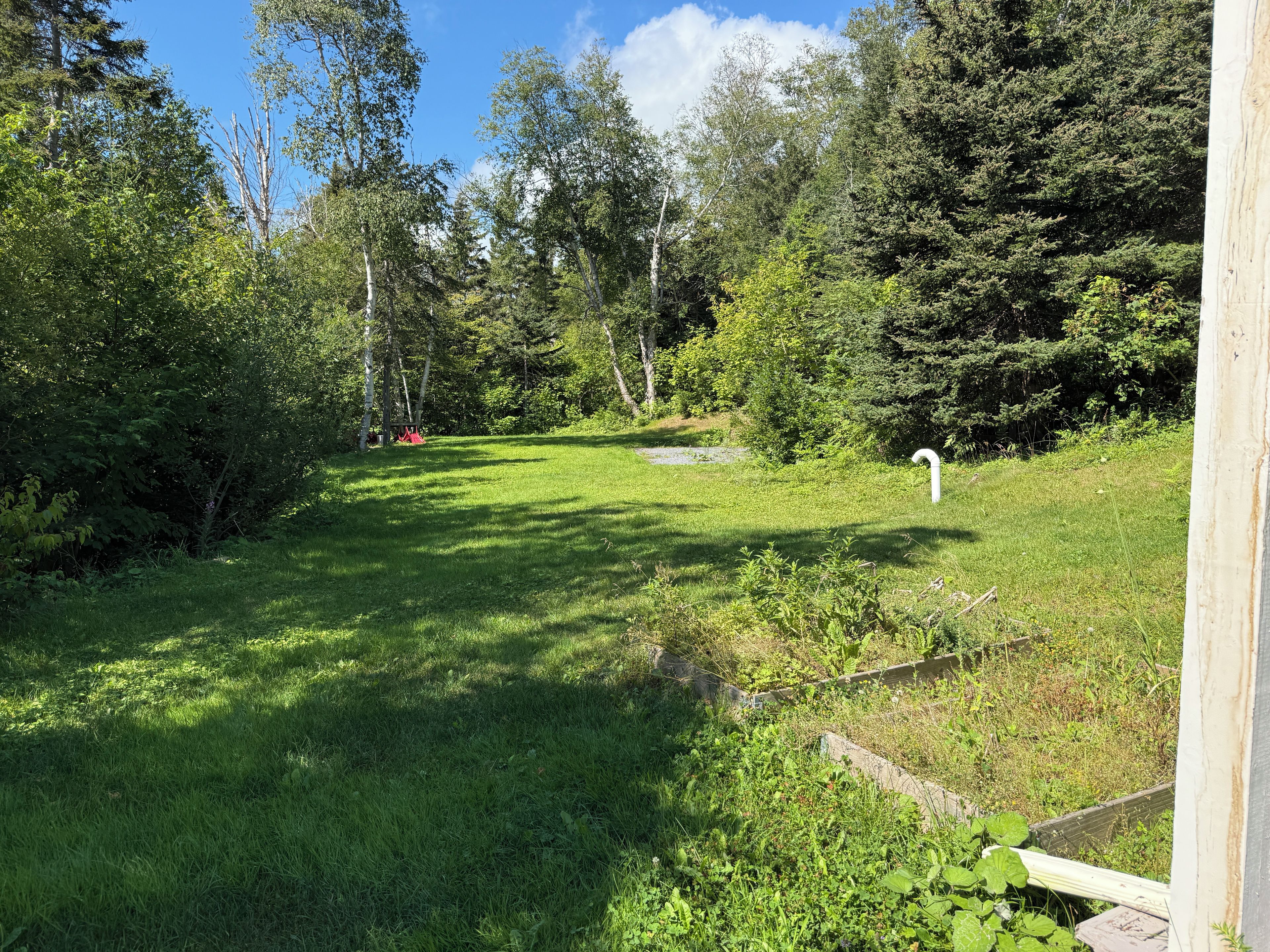 Un espace verdoyant avec des arbres, une clôture en bois et un ciel dégagé.