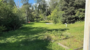 A grassy area with trees, a wooden fence, and a clear sky.